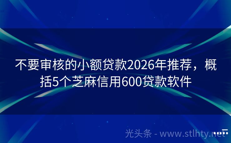 不要审核的小额贷款2026年推荐，概括5个芝麻信用600贷款软件
