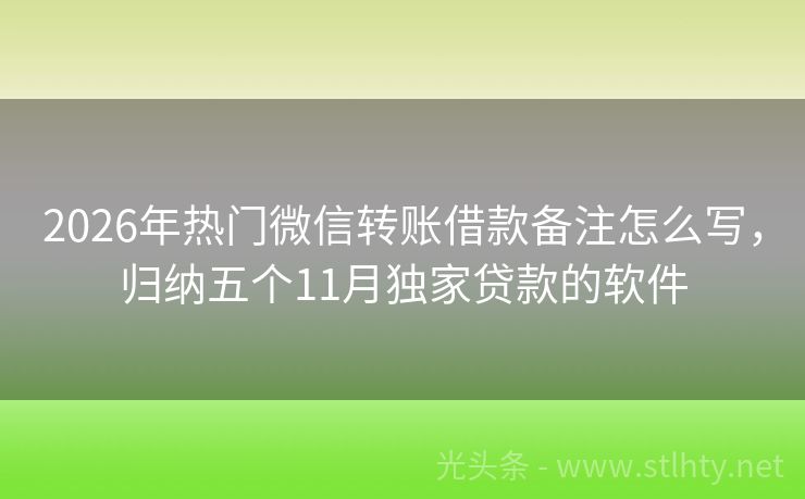 2026年热门微信转账借款备注怎么写，归纳五个11月独家贷款的软件
