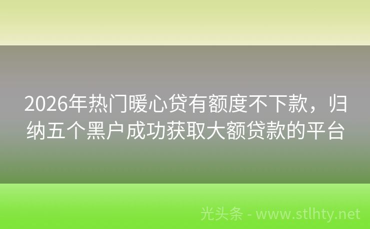 2026年热门暖心贷有额度不下款，归纳五个黑户成功获取大额贷款的平台