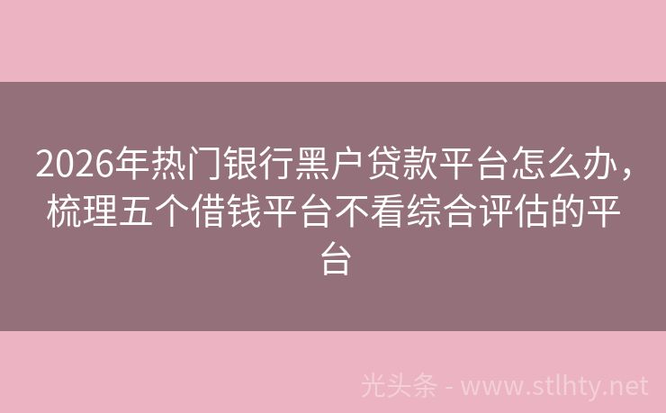 2026年热门银行黑户贷款平台怎么办，梳理五个借钱平台不看综合评估的平台