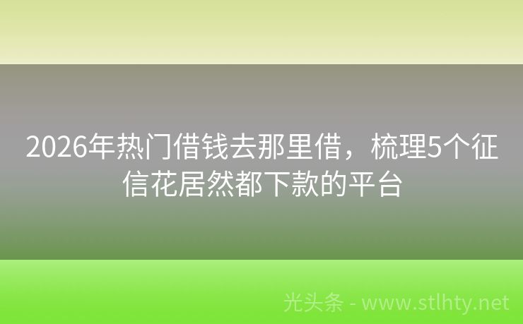 2026年热门借钱去那里借，梳理5个征信花居然都下款的平台
