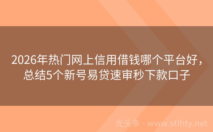 2026年热门网上信用借钱哪个平台好，总结5个新号易贷速审秒下款口子