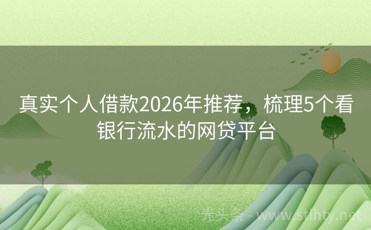 真实个人借款2026年推荐，梳理5个看银行流水的网贷平台