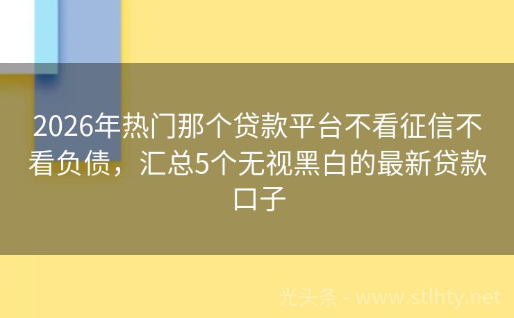 2026年热门那个贷款平台不看征信不看负债，汇总5个无视黑白的最新贷款口子