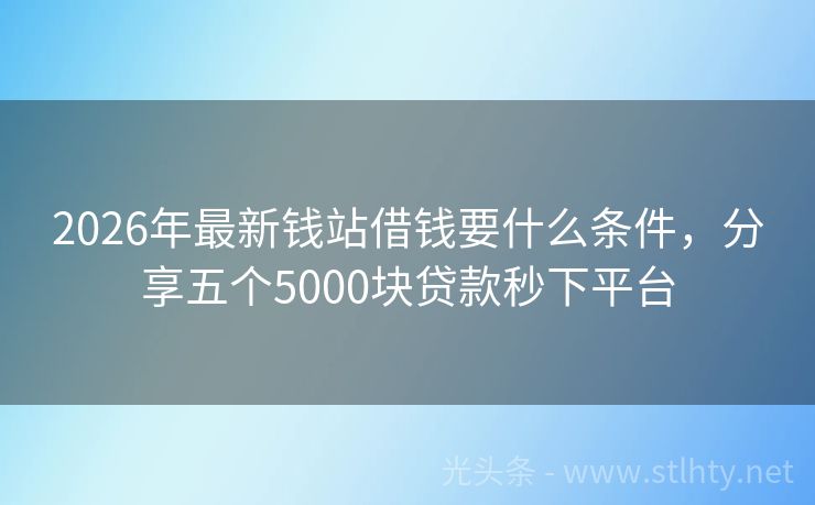 2026年最新钱站借钱要什么条件，分享五个5000块贷款秒下平台