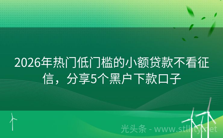 2026年热门低门槛的小额贷款不看征信，分享5个黑户下款口子