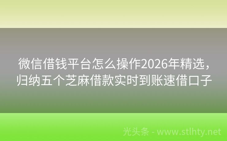 微信借钱平台怎么操作2026年精选，归纳五个芝麻借款实时到账速借口子