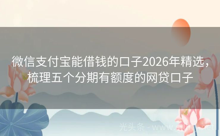 微信支付宝能借钱的口子2026年精选，梳理五个分期有额度的网贷口子