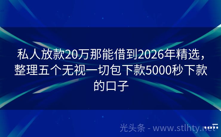 私人放款20万那能借到2026年精选，整理五个无视一切包下款5000秒下款的口子