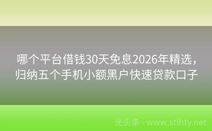 哪个平台借钱30天免息2026年精选，归纳五个手机小额黑户快速贷款口子