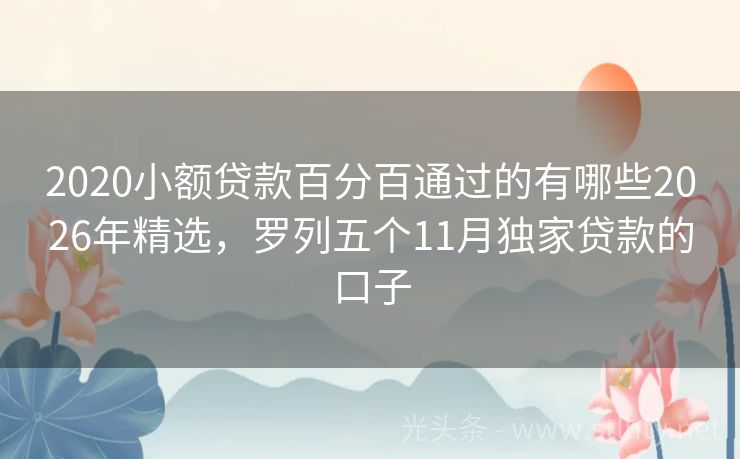2020小额贷款百分百通过的有哪些2026年精选，罗列五个11月独家贷款的口子