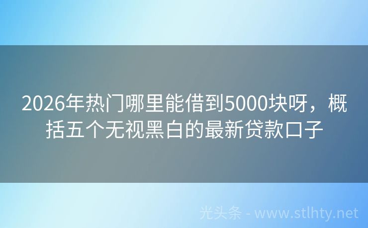 2026年热门哪里能借到5000块呀，概括五个无视黑白的最新贷款口子