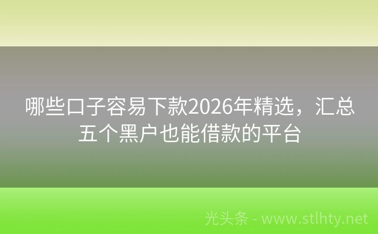 哪些口子容易下款2026年精选，汇总五个黑户也能借款的平台