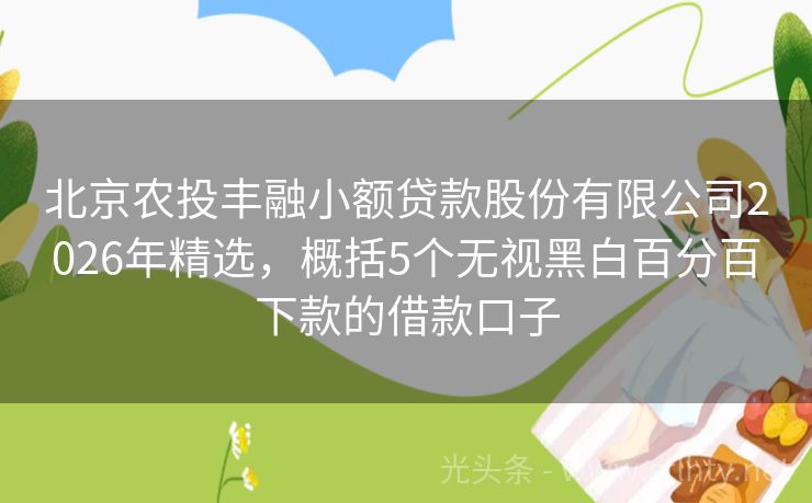 北京农投丰融小额贷款股份有限公司2026年精选，概括5个无视黑白百分百下款的借款口子