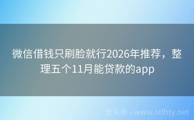 微信借钱只刷脸就行2026年推荐，整理五个11月能贷款的app