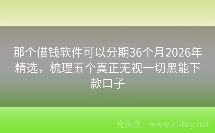 那个借钱软件可以分期36个月2026年精选，梳理五个真正无视一切黑能下款口子