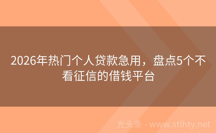 2026年热门个人贷款急用，盘点5个不看征信的借钱平台