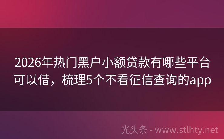 2026年热门黑户小额贷款有哪些平台可以借，梳理5个不看征信查询的app