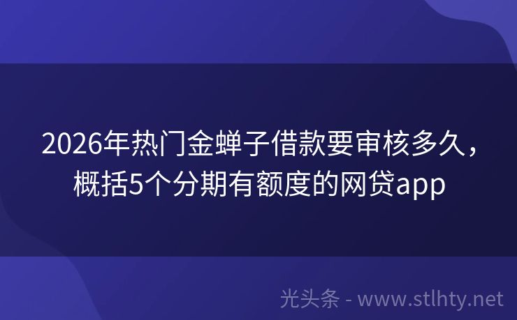 2026年热门金蝉子借款要审核多久，概括5个分期有额度的网贷app