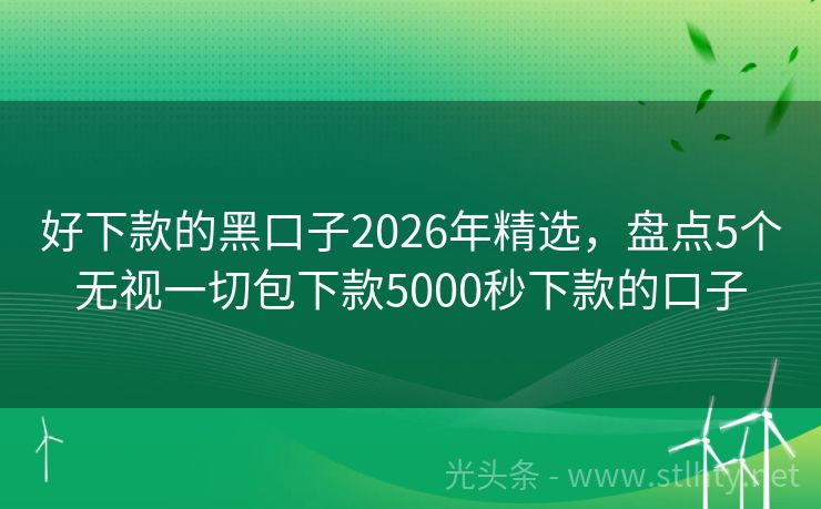 好下款的黑口子2026年精选，盘点5个无视一切包下款5000秒下款的口子
