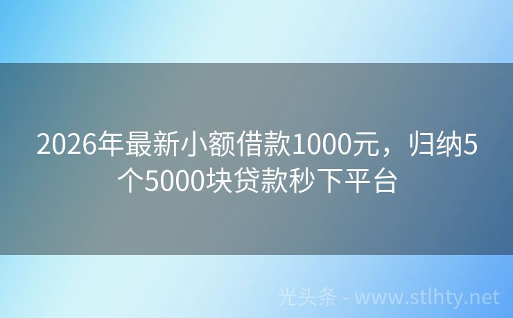 2026年最新小额借款1000元，归纳5个5000块贷款秒下平台