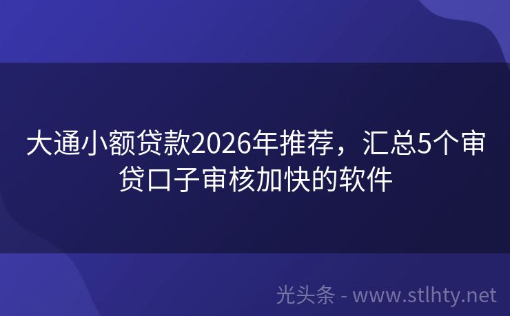 大通小额贷款2026年推荐，汇总5个审贷口子审核加快的软件