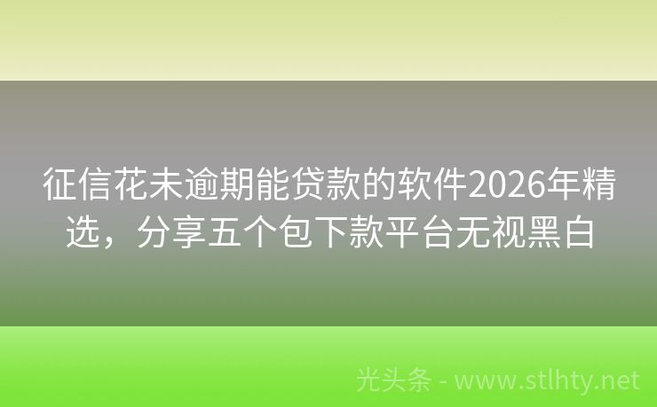 征信花未逾期能贷款的软件2026年精选，分享五个包下款平台无视黑白