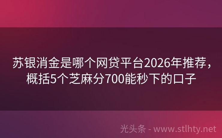 苏银消金是哪个网贷平台2026年推荐，概括5个芝麻分700能秒下的口子