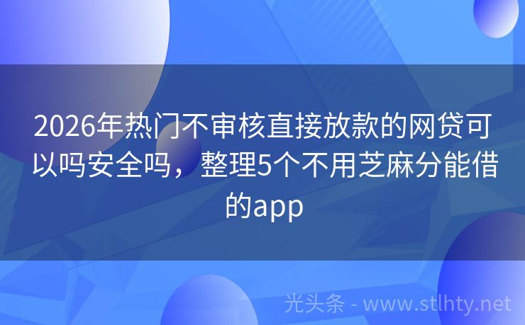 2026年热门不审核直接放款的网贷可以吗安全吗，整理5个不用芝麻分能借的app