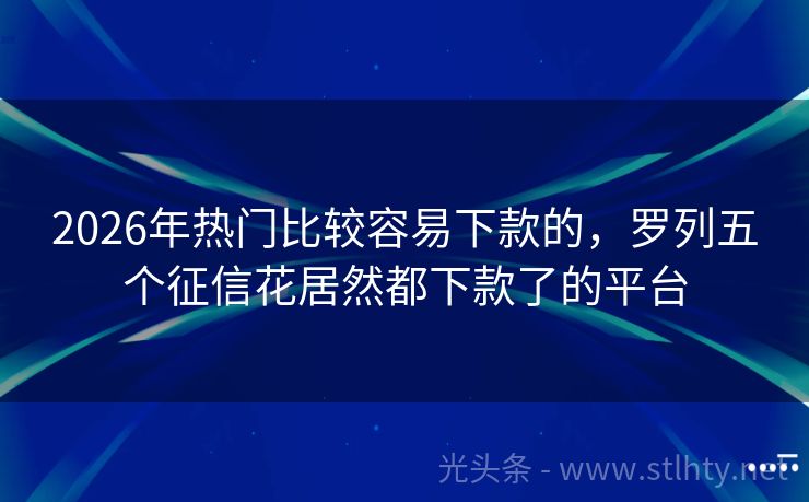 2026年热门比较容易下款的，罗列五个征信花居然都下款了的平台