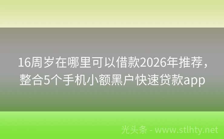 16周岁在哪里可以借款2026年推荐，整合5个手机小额黑户快速贷款app