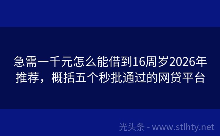 急需一千元怎么能借到16周岁2026年推荐，概括五个秒批通过的网贷平台