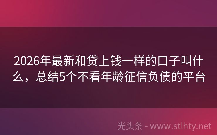 2026年最新和贷上钱一样的口子叫什么，总结5个不看年龄征信负债的平台