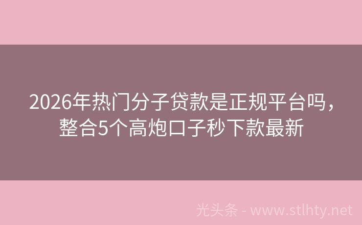 2026年热门分子贷款是正规平台吗，整合5个高炮口子秒下款最新