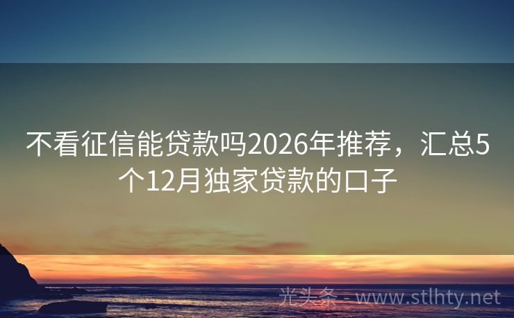 不看征信能贷款吗2026年推荐，汇总5个12月独家贷款的口子