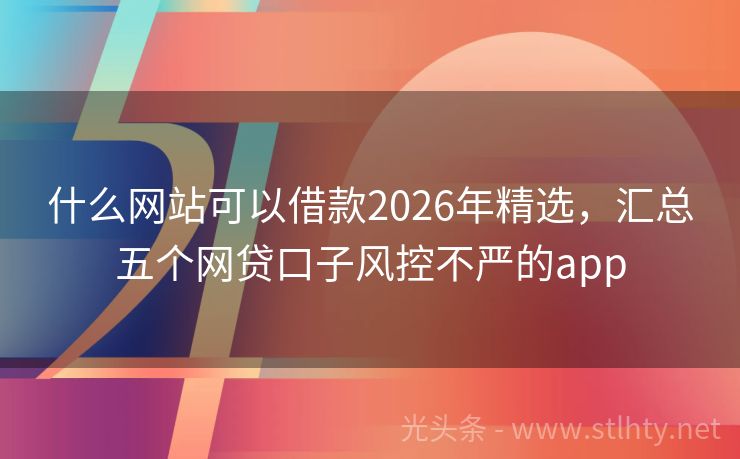 什么网站可以借款2026年精选，汇总五个网贷口子风控不严的app