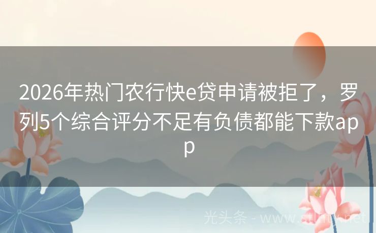 2026年热门农行快e贷申请被拒了，罗列5个综合评分不足有负债都能下款app