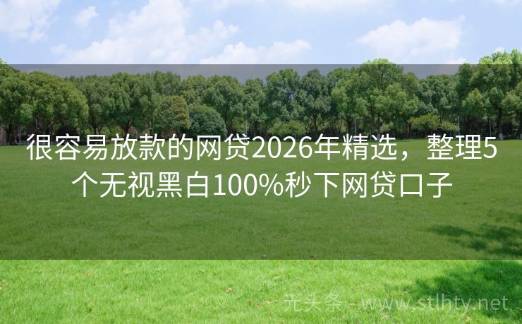 很容易放款的网贷2026年精选，整理5个无视黑白100%秒下网贷口子
