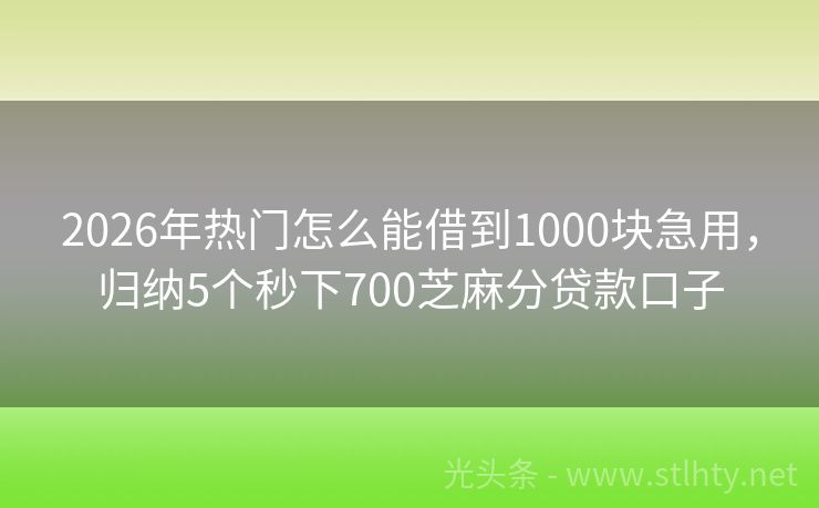 2026年热门怎么能借到1000块急用，归纳5个秒下700芝麻分贷款口子