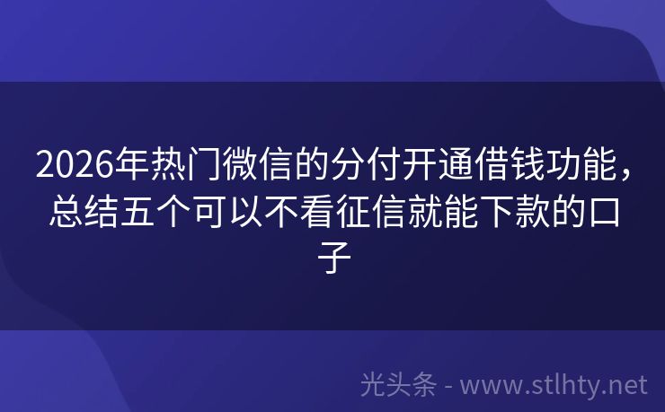 2026年热门微信的分付开通借钱功能，总结五个可以不看征信就能下款的口子