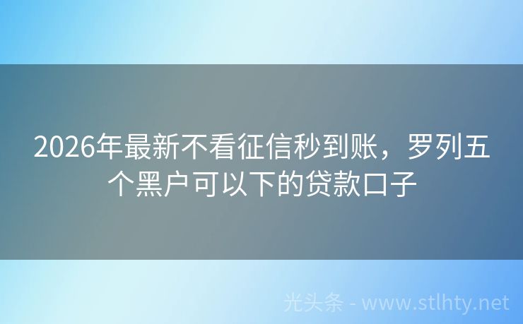 2026年最新不看征信秒到账，罗列五个黑户可以下的贷款口子