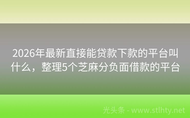 2026年最新直接能贷款下款的平台叫什么，整理5个芝麻分负面借款的平台