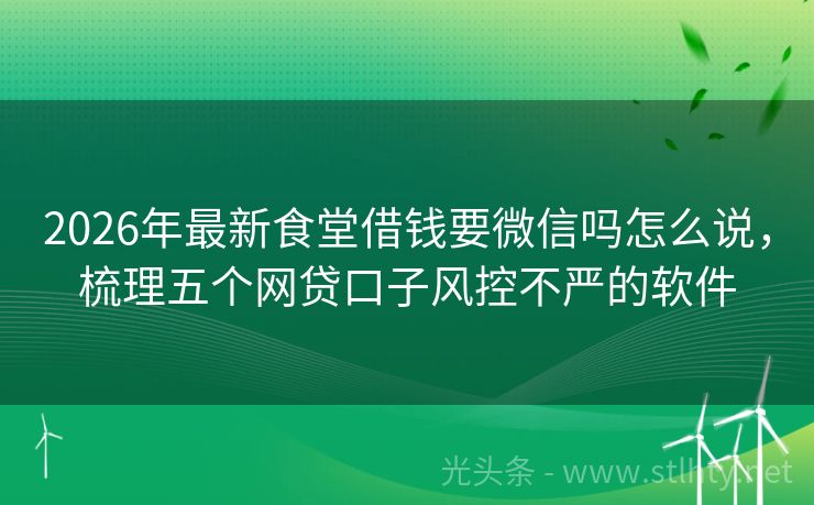 2026年最新食堂借钱要微信吗怎么说，梳理五个网贷口子风控不严的软件