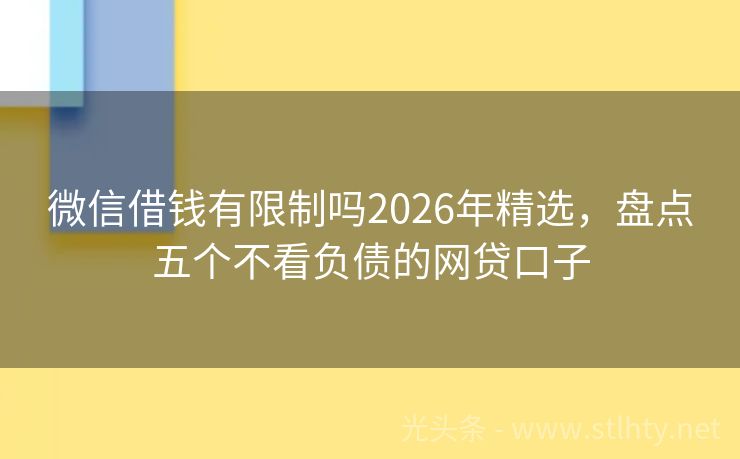 微信借钱有限制吗2026年精选，盘点五个不看负债的网贷口子