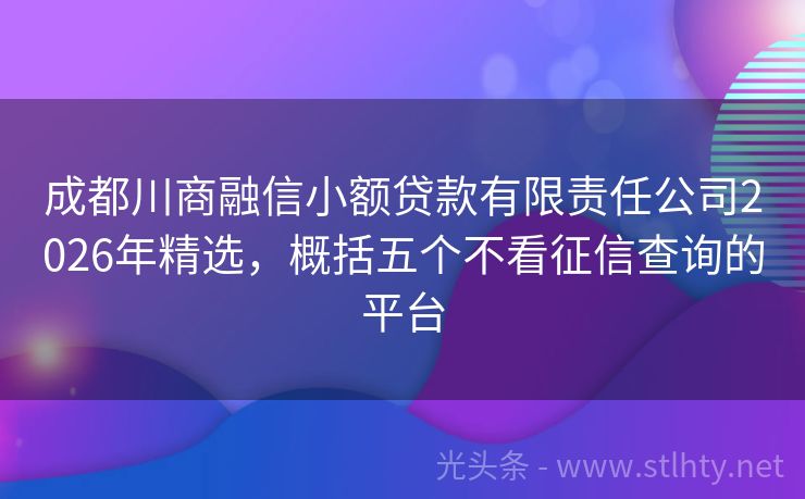 成都川商融信小额贷款有限责任公司2026年精选，概括五个不看征信查询的平台