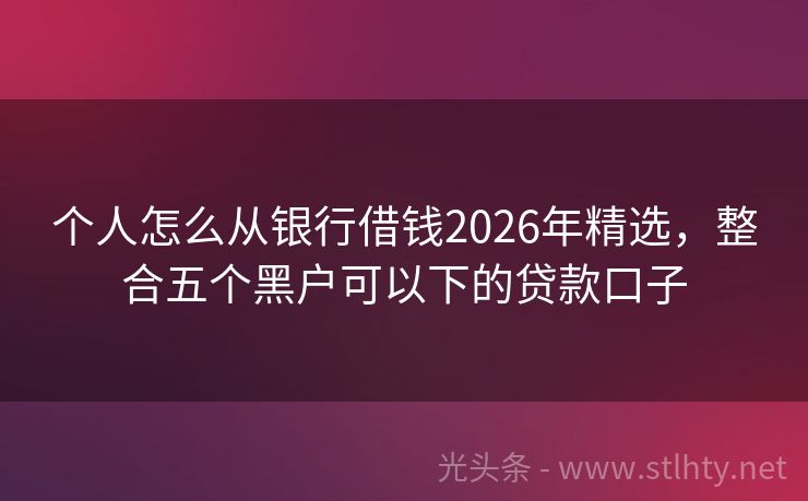 个人怎么从银行借钱2026年精选，整合五个黑户可以下的贷款口子
