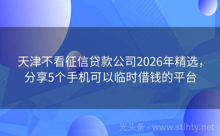 天津不看征信贷款公司2026年精选，分享5个手机可以临时借钱的平台