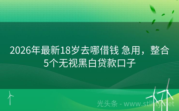 2026年最新18岁去哪借钱 急用，整合5个无视黑白贷款口子