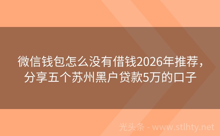 微信钱包怎么没有借钱2026年推荐，分享五个苏州黑户贷款5万的口子