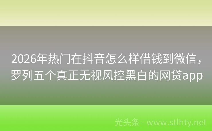 2026年热门在抖音怎么样借钱到微信，罗列五个真正无视风控黑白的网贷app